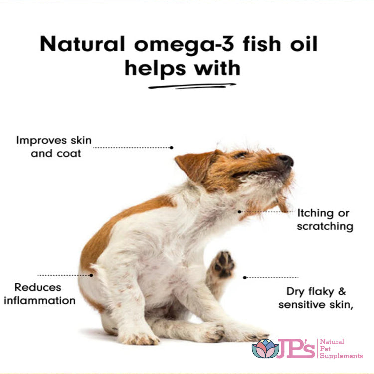 Dog Gut Microbiome Omega 3 Benefits & Health Impact Insights