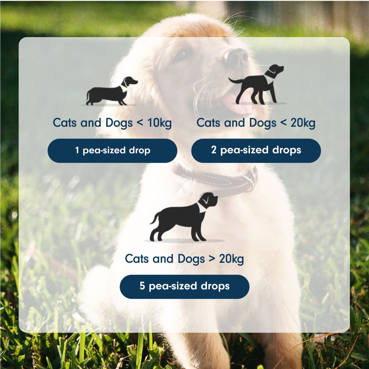 Natural  Enzymatic Toothpaste for Dogs & Cats