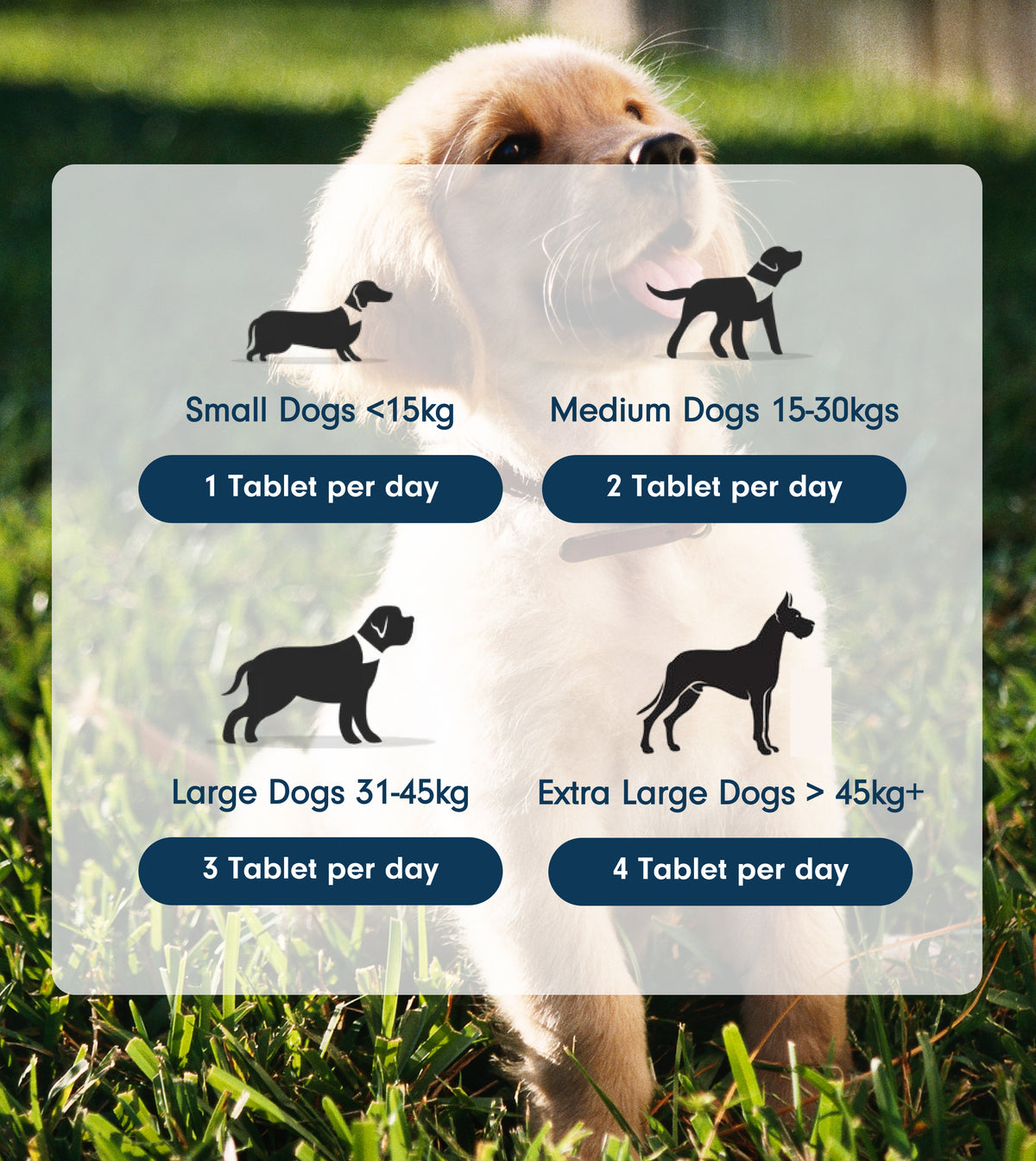 Natural Dog Joint Supplement with Green Lipped Mussel