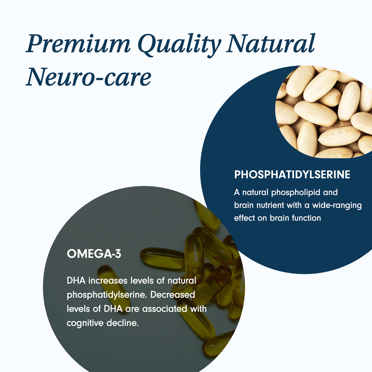 Brain Supplement for Dogs and Cats Cognitive Decline