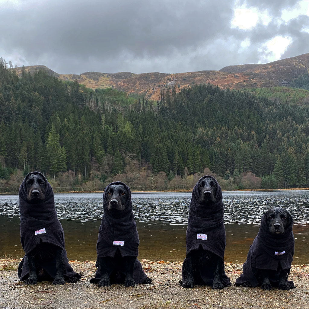 Dogrobe snoods are trusted and loved by dogs’ owners and their pets as they are ideal for drying your dog's head, neck and ears. Dog snood in black.