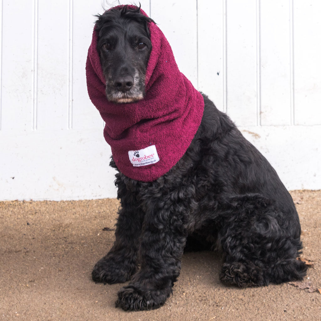 Dogrobe snoods are trusted and loved by dogs’ owners and their pets as they are ideal for drying your dog's head, neck and ears. Dog snood in burgundy.