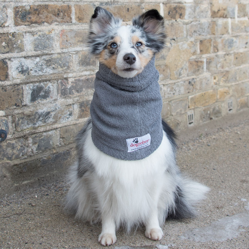 Dogrobe snoods are trusted and loved by dogs’ owners and their pets as they are ideal for drying your dog's head, neck and ears. Dog snood in grey.