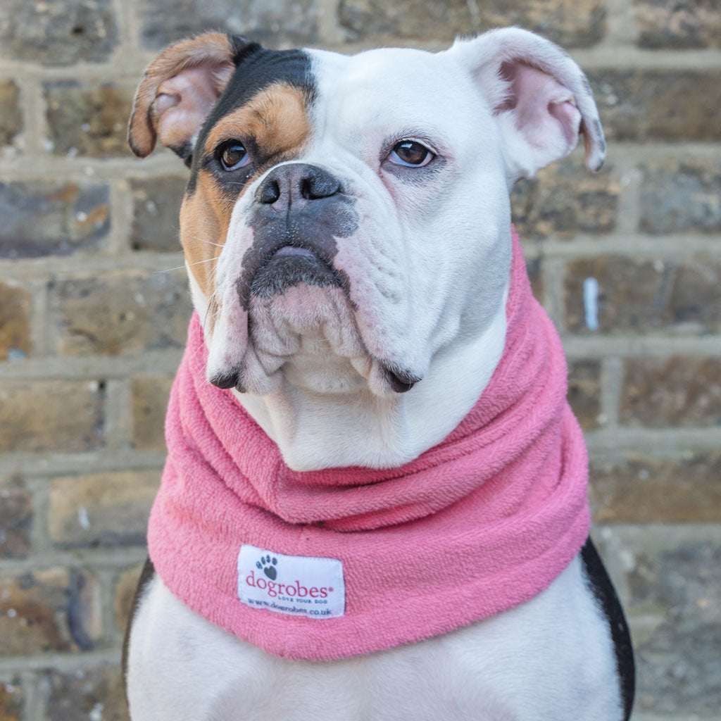 Dogrobe snoods are trusted and loved by dogs’ owners and their pets as they are ideal for drying your dog's head, neck and ears. Dog snood in pink.
