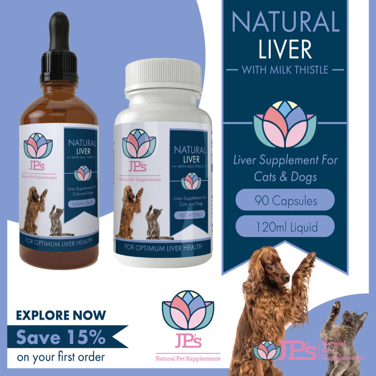 Best liver supplements for dogs hotsell