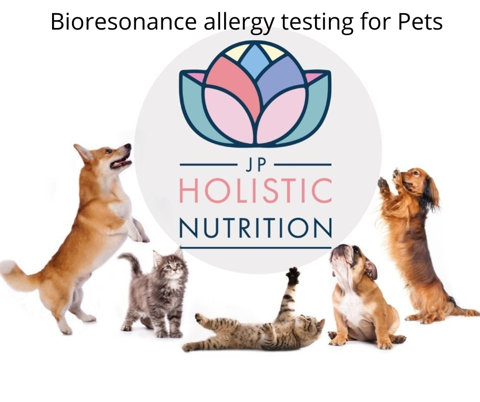 JP Holistic Nutrition Pet Bioresonance Allergy Testing