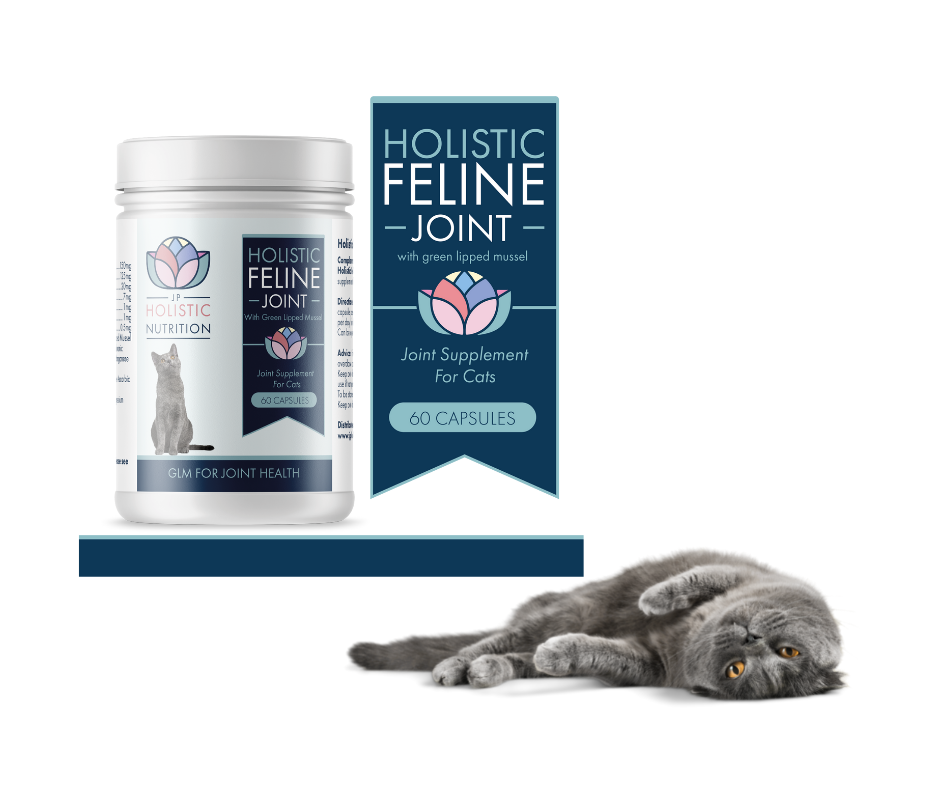 The best natural holistic supplements for cats