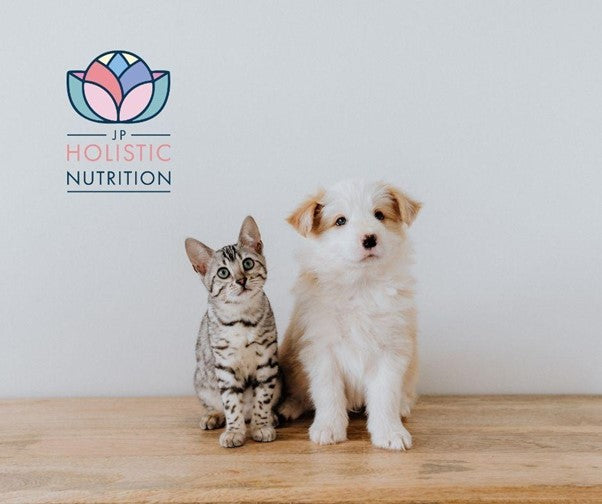 Top 5 Natural Pet Supplements to Improve Your Pet's Health
