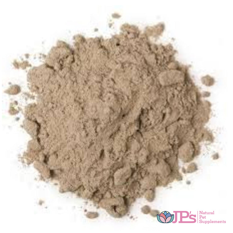 bentonite clay for dogs and cats