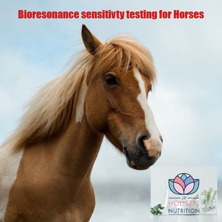 Bioresonance sensitivity testing for horses, cats and dogs