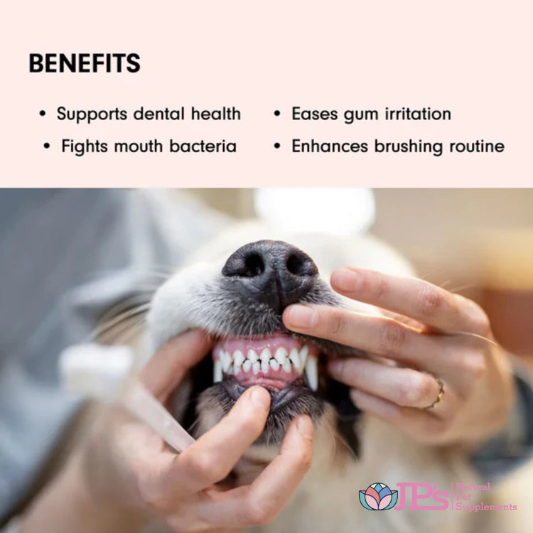 enzymatic toothpaste for dogs and cats