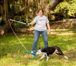 The flirt pole exercise for dogs helps you bond to your dog