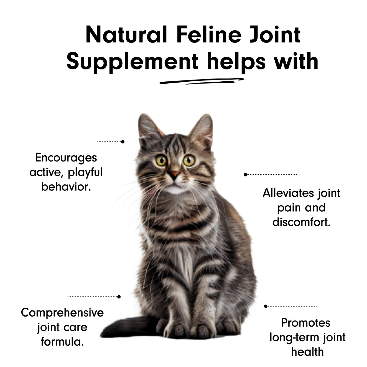 Natural Feline Joint with Green Lipped Mussel