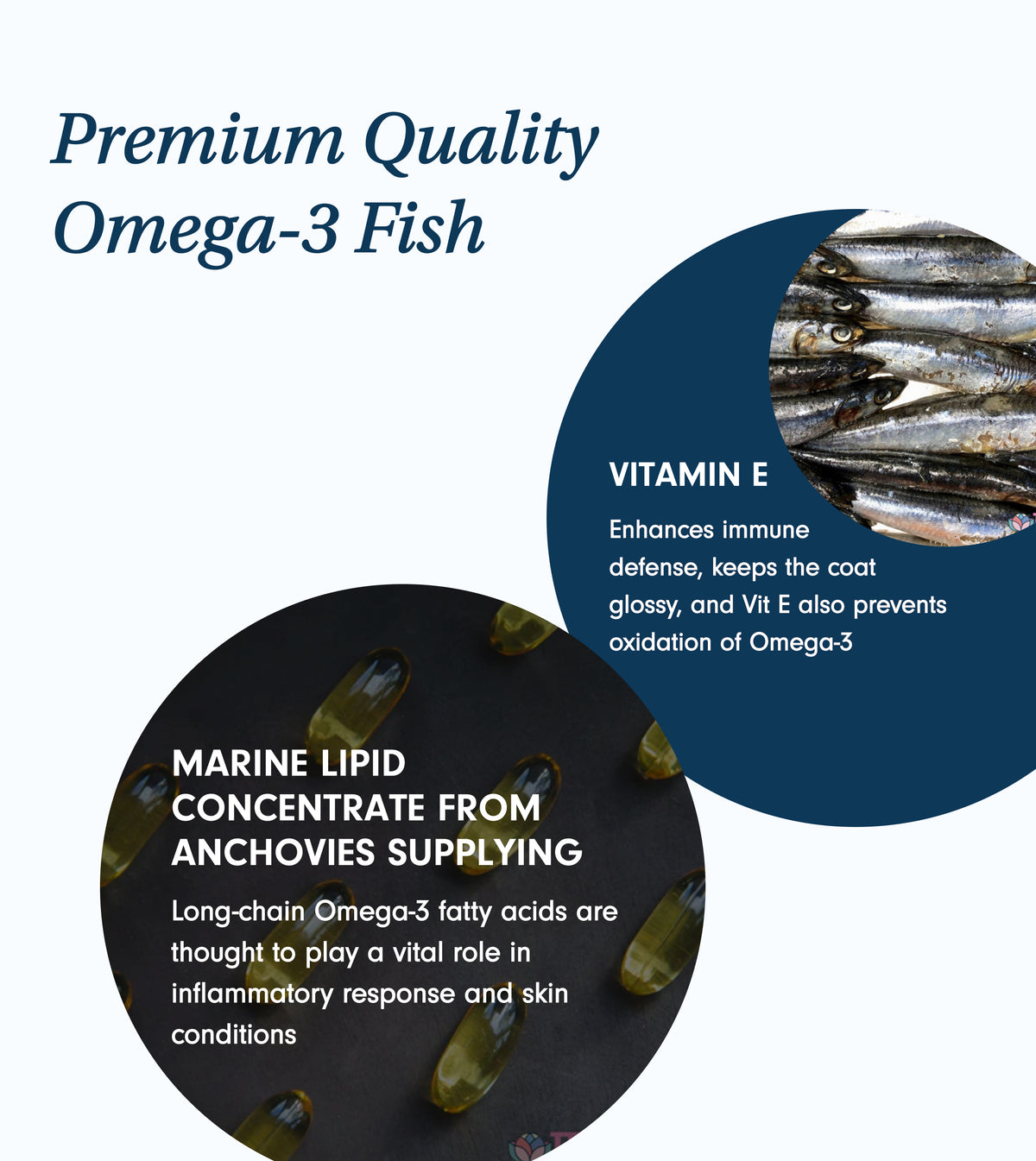 Natural Omega-3 Fish Oil For Dogs