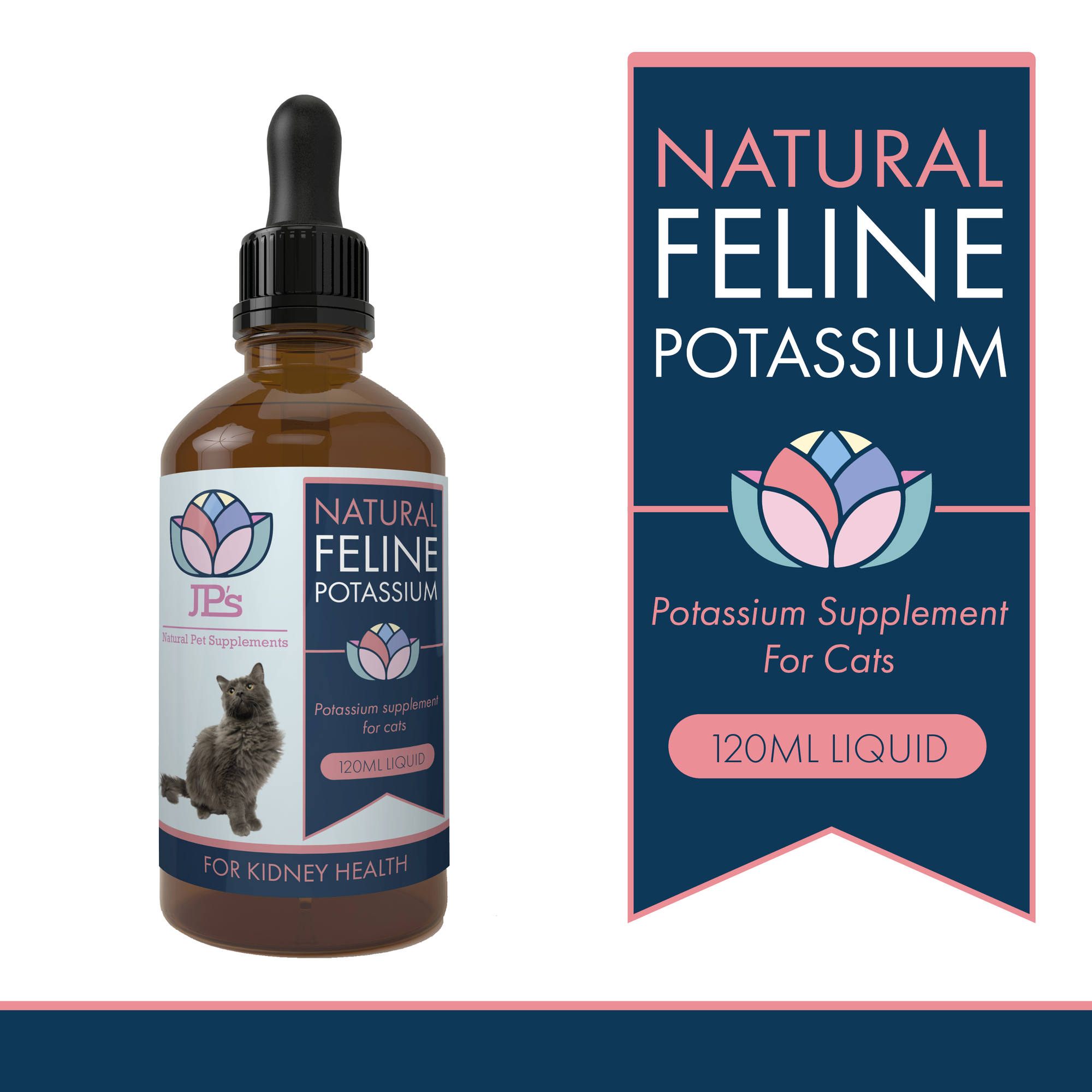 Natural Potassium Supplement for Cats with Kidney Disease