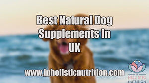 Best natural dog supplements in UK