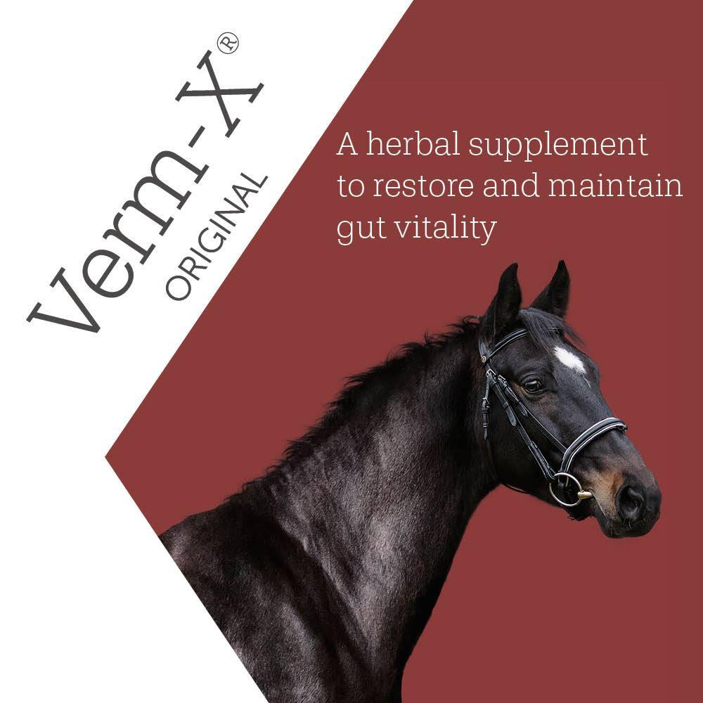 Verm-X Pellets for Horses - JP Holistic Nutrition 