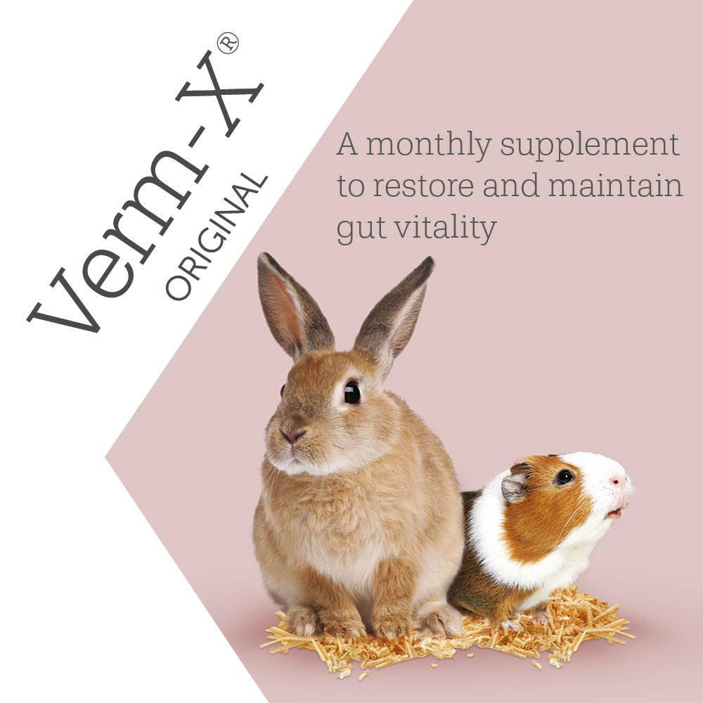 Verm-X Nuggets for Rabbits, Guinea Pigs and Hamsters - JP Holistic Nutrition 