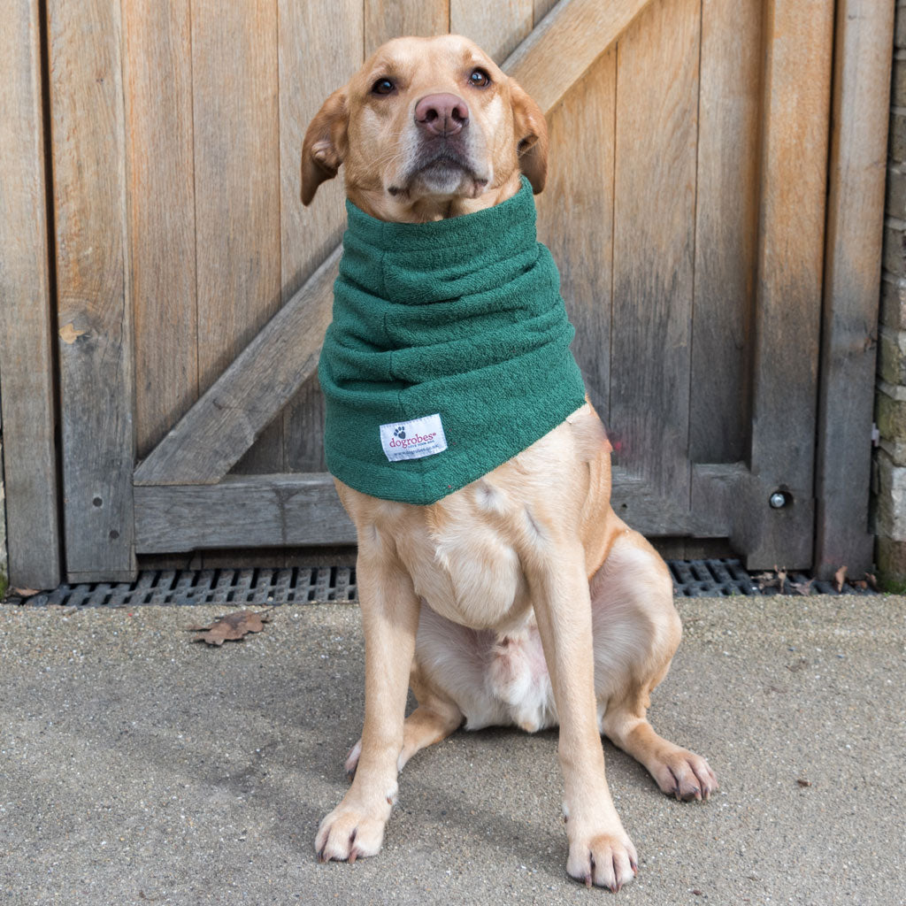 Dogrobe snoods are trusted and loved by dogs’ owners and their pets as they are ideal for drying your dog&#39;s head, neck and ears. Dog snood in green.