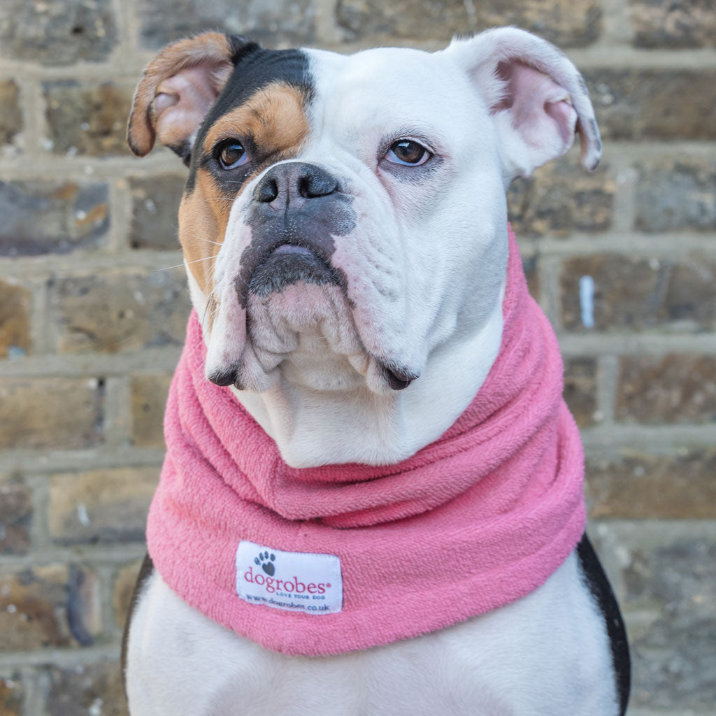 Dogrobe snoods are trusted and loved by dogs’ owners and their pets as they are ideal for drying your dog&#39;s head, neck and ears. Dog snood in pink.