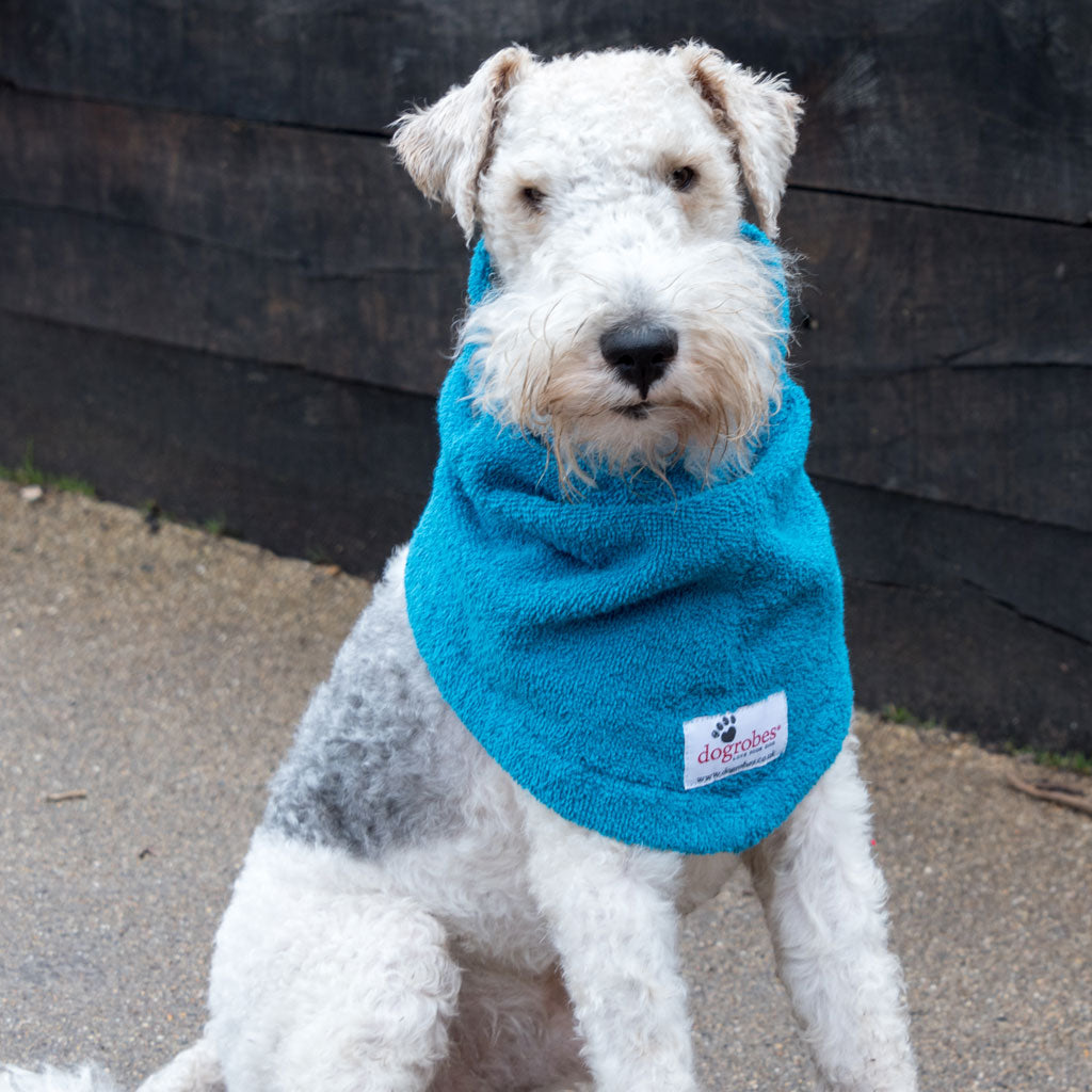 Dogrobe snoods are trusted and loved by dogs’ owners and their pets as they are ideal for drying your dog&#39;s head, neck and ears. Dog snood in teal.