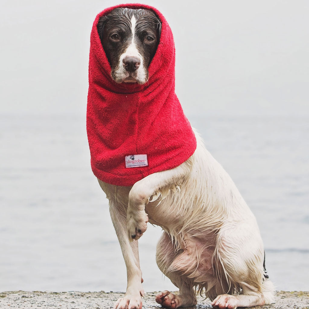 Dogrobe snoods are trusted and loved by dogs’ owners and their pets as they are ideal for drying your dog&#39;s head, neck and ears. Dog snood in red.