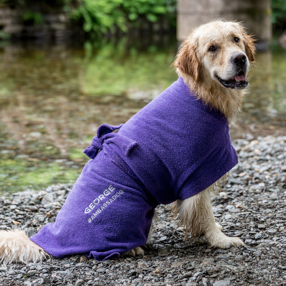 Dog Coat for Outdoors with Harness Access Opening in 9 colours