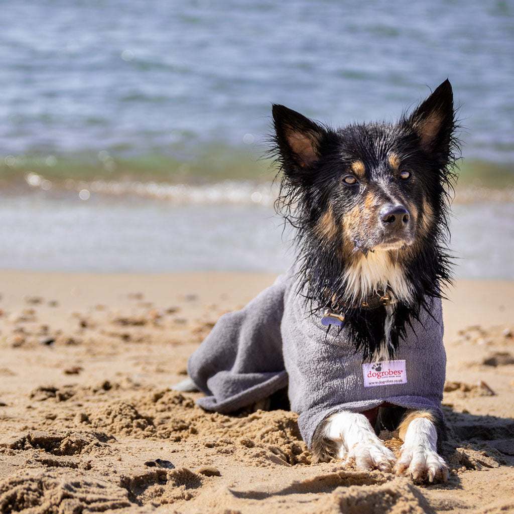 Dogrobe dog coats are perfect for drying, warming and comforting your dog after outdoor adventures. Available in grey.