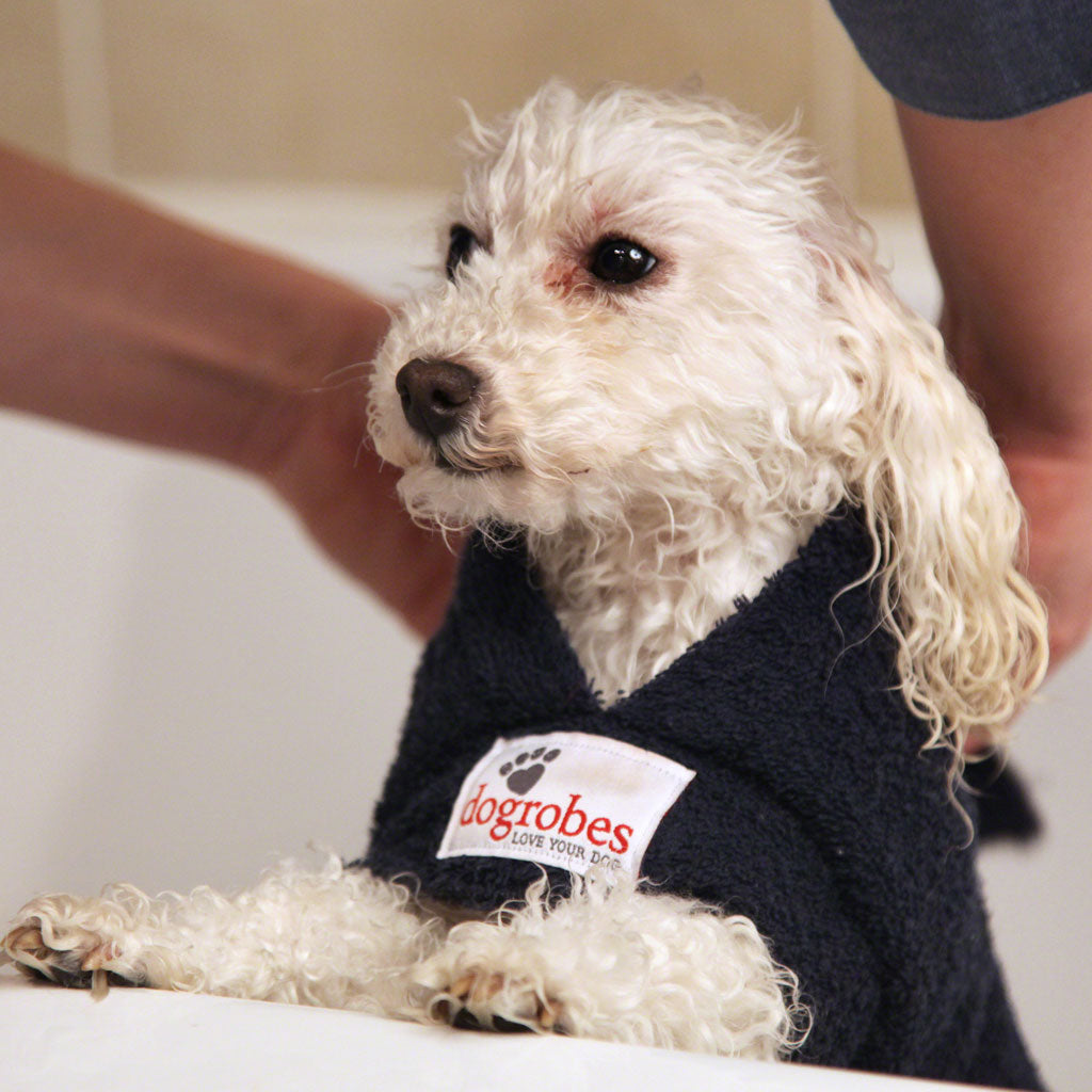 Dogrobe dog coats are perfect for drying, warming and comforting your dog after outdoor adventures. Available in navy.