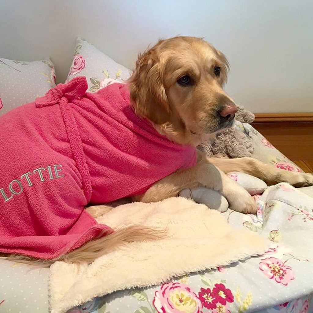 Dogrobe dog coats are perfect for drying, warming and comforting your dog after outdoor adventures. Available in pink.