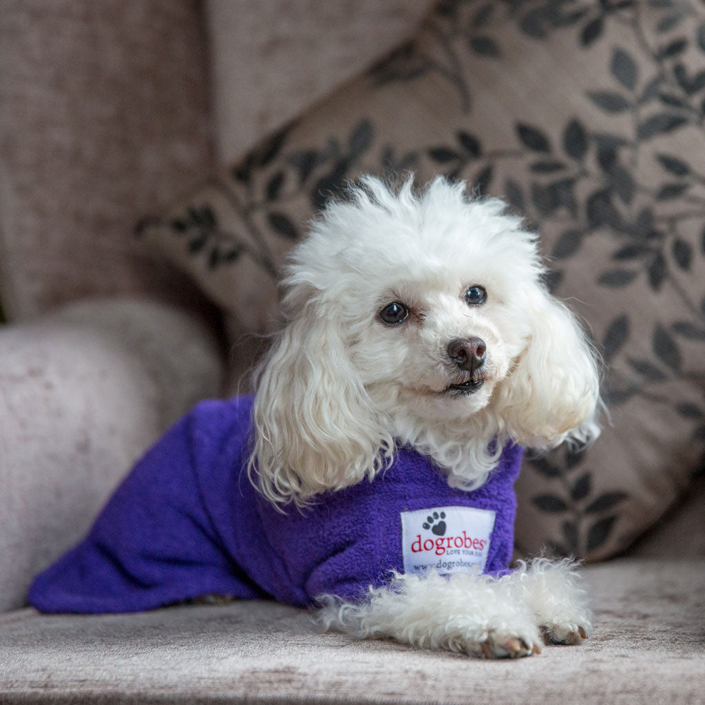 Dogrobe dog coats are perfect for drying, warming and comforting your dog after outdoor adventures. Available in purple.