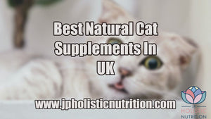 Best natural cat supplements in UK