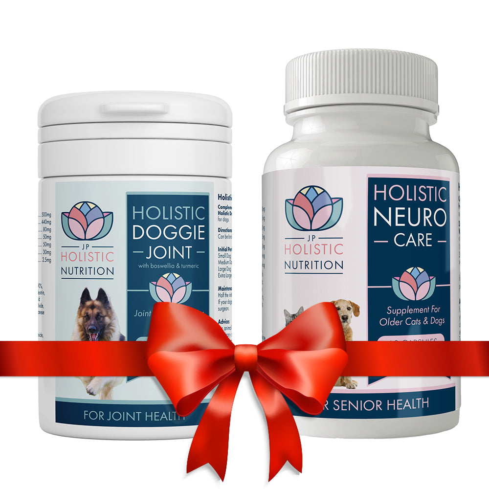 Holistic Neuro And Joint Care for Older Cats &amp; Dogs