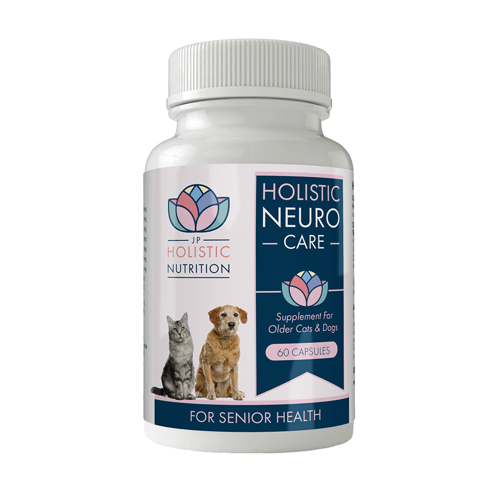 Dog Brain Health Supplements. Cat Brain Supplements